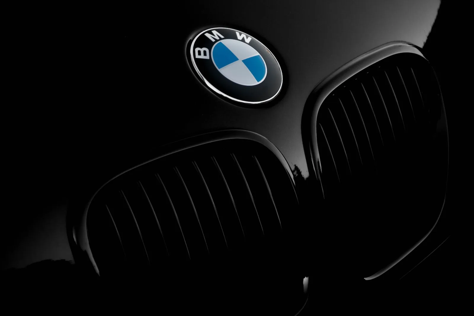 BMW symbol