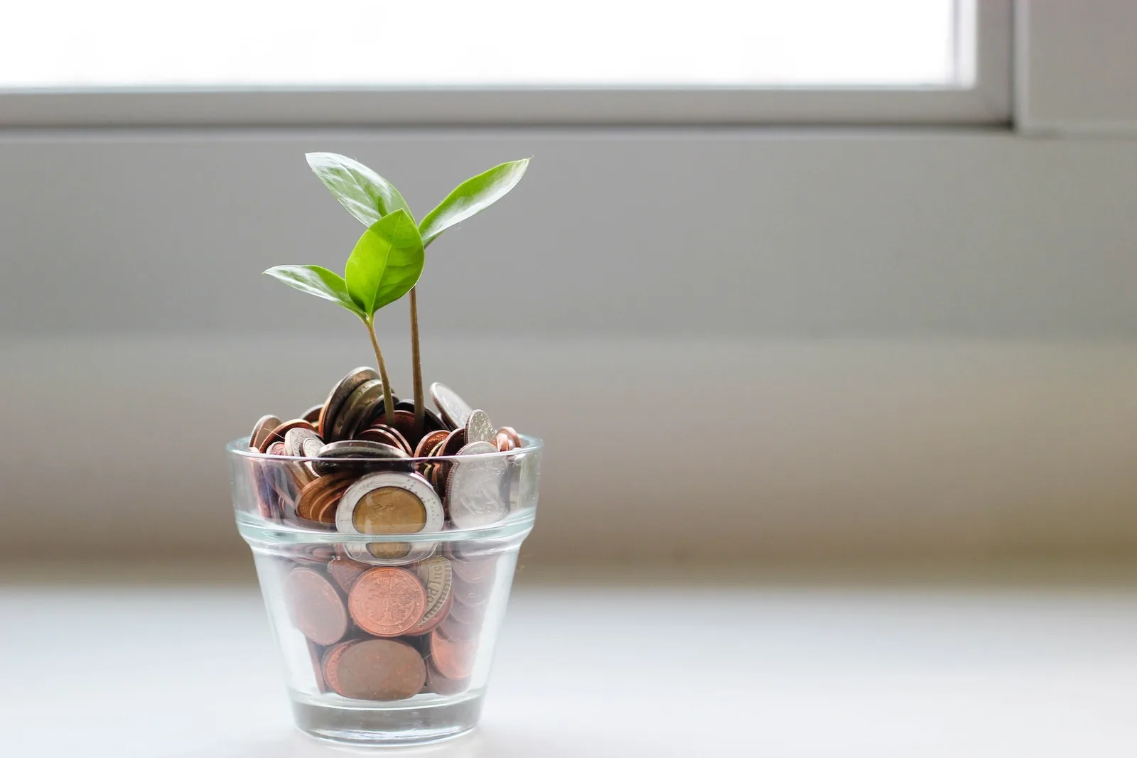 Planta verde en vaso transparente con monedas.